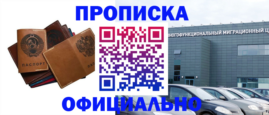 прописка в квартире в Шумихе